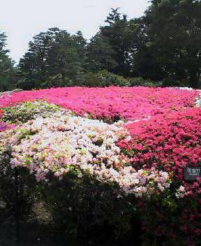 d0000324_13133956.jpg