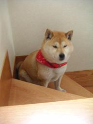 今度は。。。_c0049950_22143119.jpg