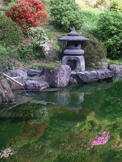 ツツジと池のある庭 六十雲斎の凡写まぜこぜ ツツジと池のある庭 六十雲斎の凡写まぜこぜ
