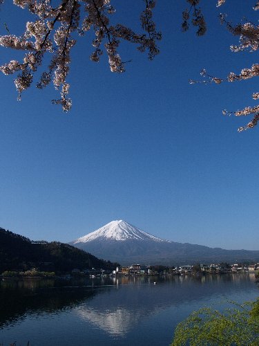 富士憧憬～♪　≪ 春光の富士山　Ⅳ≫_c0008502_553024.jpg