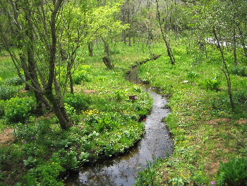 b0046210_03578.jpg