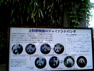 b0002311_2181684.jpg
