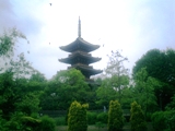 b0002311_3364393.jpg