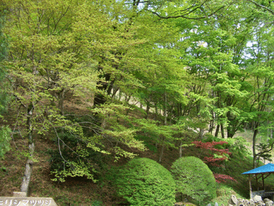 b0030123_18573836.gif