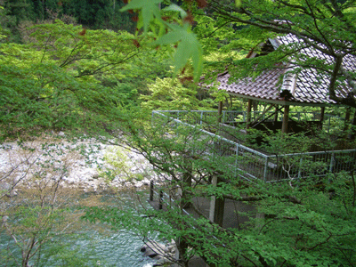 b0030123_18592675.gif
