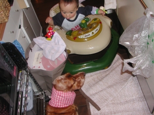c0072871_00567.jpg