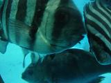 c0057781_15484770.jpg