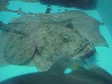 c0057781_1549155.jpg