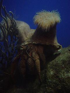 c0057781_1615548.jpg