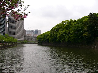 b0009029_01526.jpg
