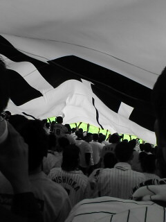 c0058168_13271593.jpg