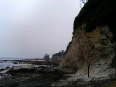 b0006289_154570.jpg