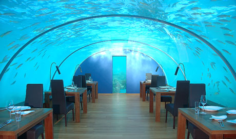 ★モルジブに世界初の海中レストランがオープン　（ﾟﾟ;)ﾜｱｰ_b0013789_0252475.jpg