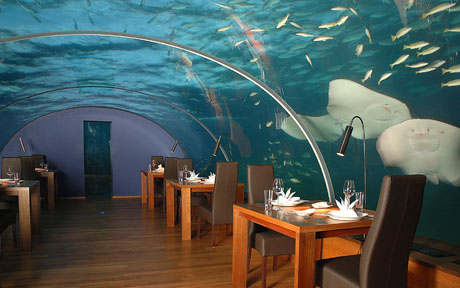 ★モルジブに世界初の海中レストランがオープン　（ﾟﾟ;)ﾜｱｰ_b0013789_026132.jpg