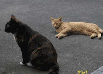 c0063905_3524287.gif