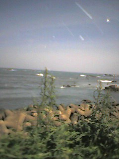 c0015706_21504176.jpg