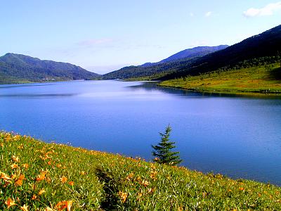 b0027109_9443580.jpg