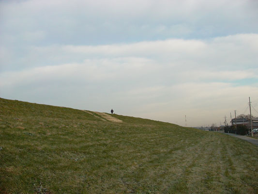 c0000718_1615149.jpg