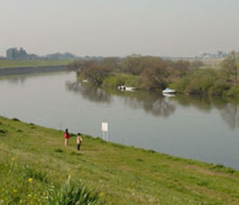c0000718_16223730.jpg