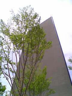 b0055128_20521024.jpg