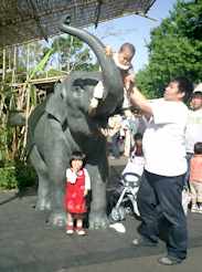 上野動物園_c0029257_1254716.jpg