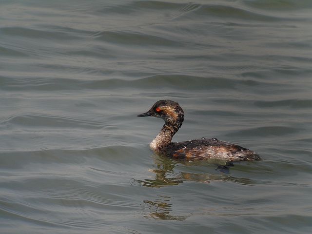 b0069564_2074469.jpg