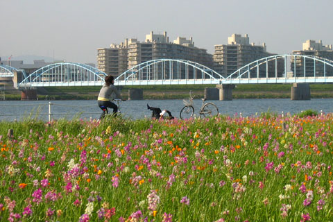 自転車日和_a0004986_19582025.jpg