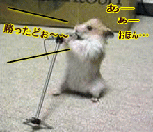 a0019994_2114647.gif