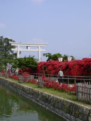 a0002195_14243638.jpg