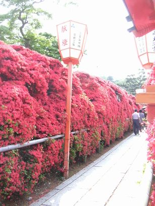 a0002195_14252881.jpg