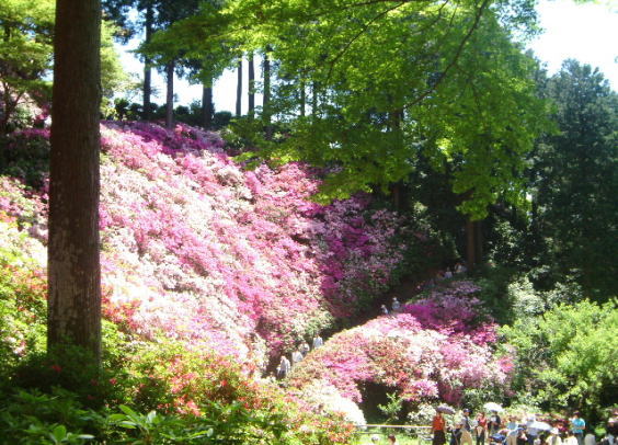 c0017311_100675.jpg