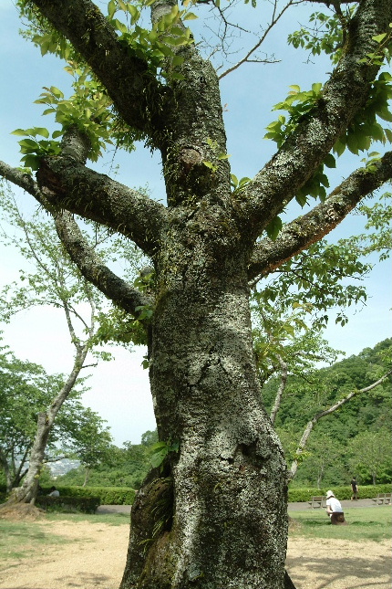 b0027880_23212624.jpg