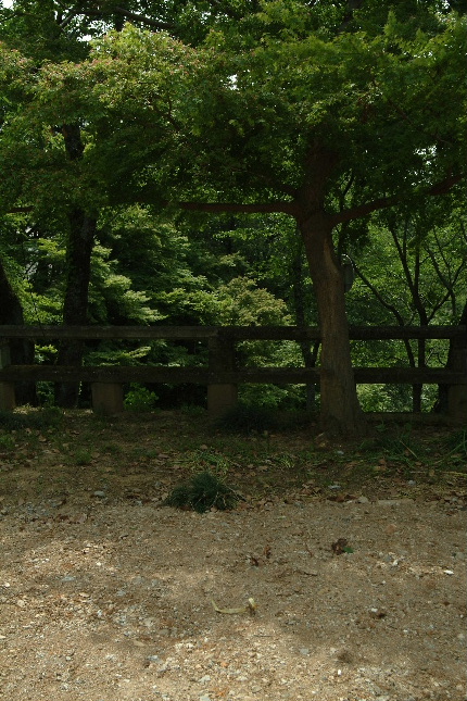 b0027880_23225992.jpg