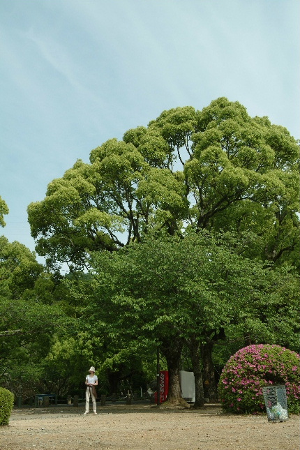 b0027880_23233144.jpg