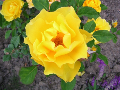 b0011412_13293366.jpg