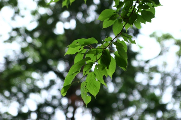 c0044720_19172513.jpg
