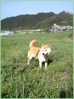 c0060620_15125345.jpg