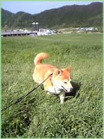 c0060620_1513362.jpg