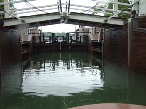 c0059521_23323232.jpg
