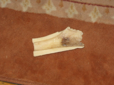 c0073152_21174276.jpg