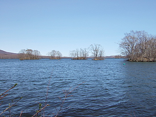 b0053765_1563639.jpg