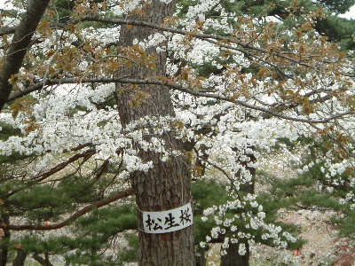 b0067569_18393655.jpg