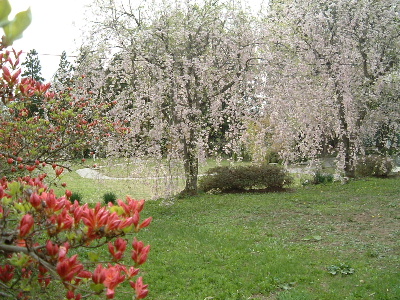 b0067569_18442374.jpg