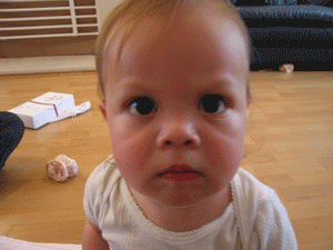 d0027874_5245566.gif