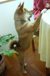 b0057675_10565756.jpg