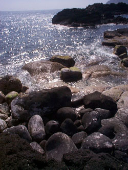 b0070879_21361188.jpg