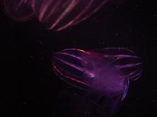 c0057781_9212465.jpg