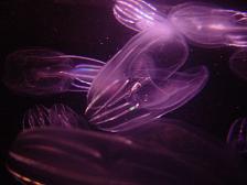 c0057781_9213685.jpg