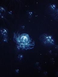c0057781_9583715.jpg