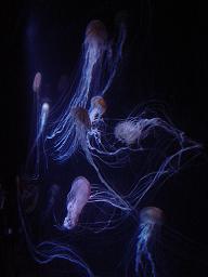 c0057781_9594563.jpg
